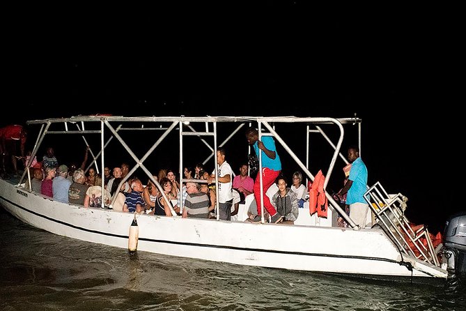 Jamaica Super Saver: Montego Bay & Rose Hall plus Mystic Lagoon Night Cruise - Guides, group size, and the human factor