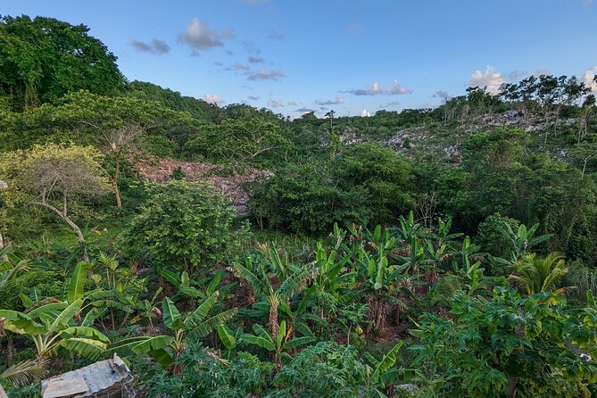Jamaican Roots Tropical Farm Tour - Taste & Explore (Negril) 2hr - Why the hilltop setting matters