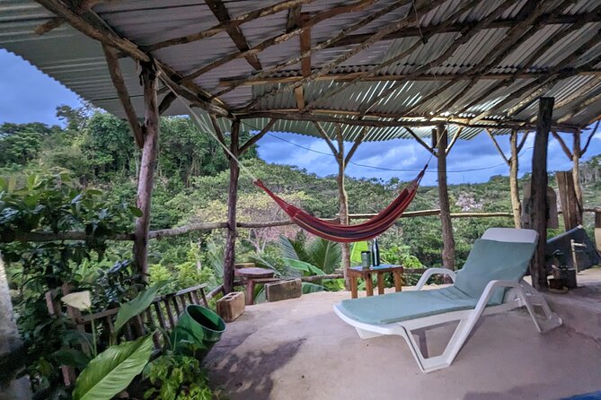 Jamaican Roots Tropical Farm Tour - Taste & Explore (Negril) 2hr - Booking and cancellation details to keep in mind