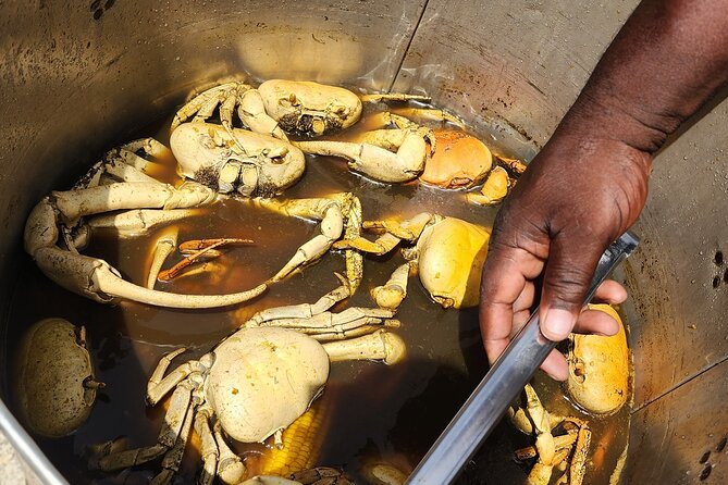 Jamaican Street Food and Rum Tasting Private Tour - Rum tasting at the Green Apple Store