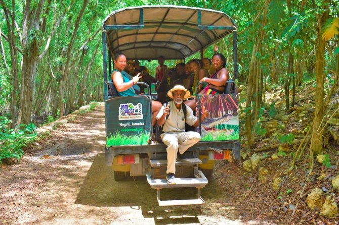Jamwest Negril Zipline and JamCulture Combo - The Safety Briefing and Training Line