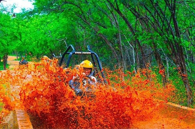 Jamwest Off-Road ATV Adventure & JamCulture Tour Combo in Negril - Forest trails, grassland, and rocky hills