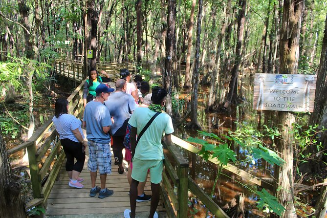 Jamwest Off-Road ATV Adventure & JamCulture Tour Combo in Negril - Wetlands, mangroves, and sandy washes