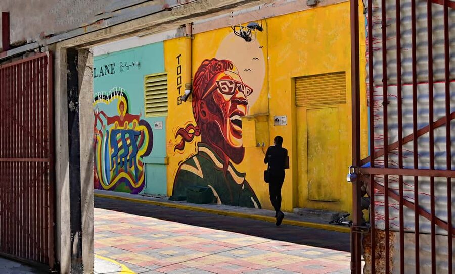 Kingston Creative: Mural Art Walking Tour - Who should book this Kingston walk?