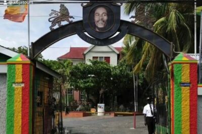 Bob Marley’s Nine Mile Admission and Guided Tour from Montego Bay