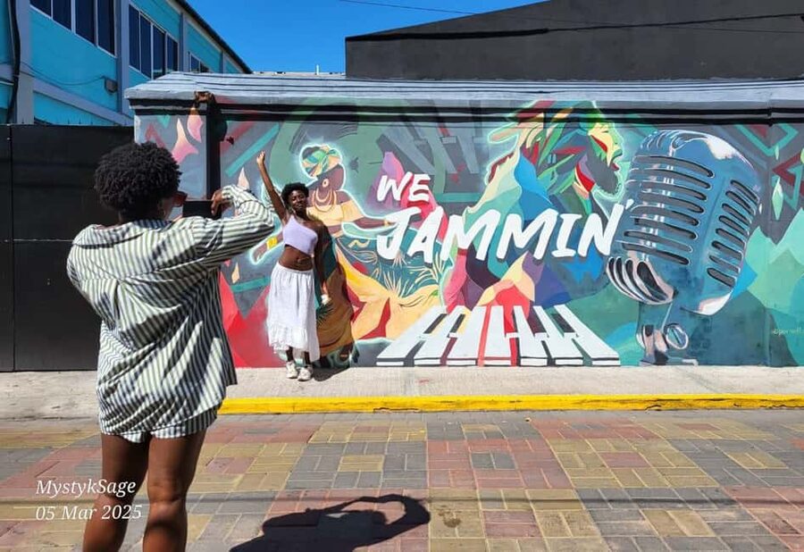 Kingston: Rhythmic Walking Music Tour - One hour through Kingston’s Art District