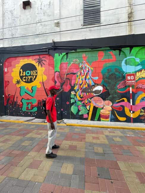 Kingston: Walking Tour with Mural Exploration - Reading the Kingston Art District Murals