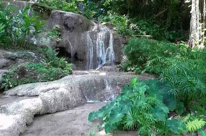 Konoko Falls and Tropical Garden Tour from Ocho Rios - The view from the top