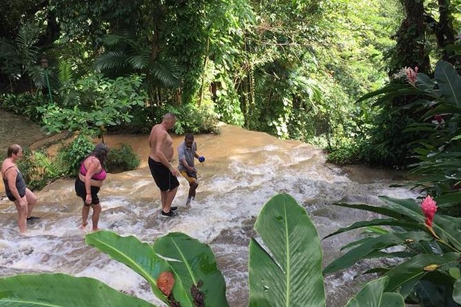 Konoko Falls and Tropical Garden Tour from Ocho Rios - What the three-hour schedule feels like