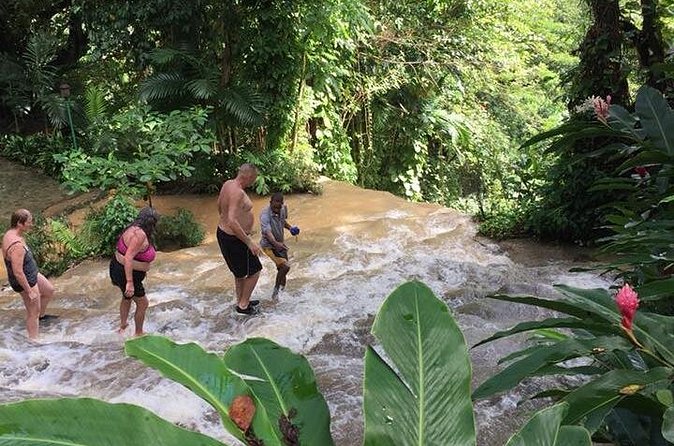 Konoko Falls and Tropical Garden Tour from Ocho Rios - Is $96.16 a fair price?