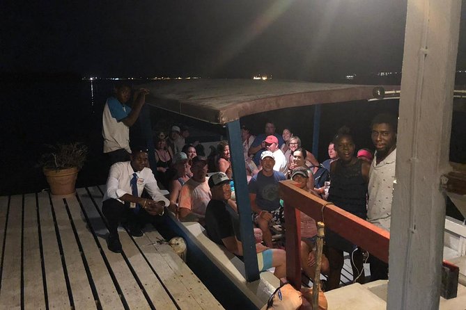 Luminous Lagoon After Dark Tour - Is the $86.67 price good value?