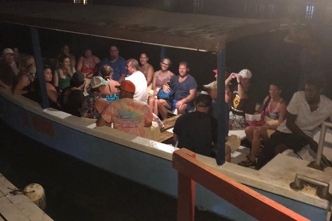 Luminous Lagoon After Dark Tour - Who should book this experience?
