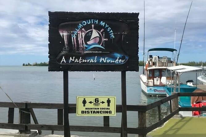 Luminous lagoon Dark night Tour from Ocho Rios and Runaway Bay Hotels - Why Jamaica’s glowing lagoon is worth seeing