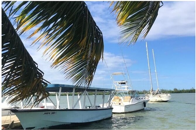Luminous lagoon Dark night Tour from Ocho Rios and Runaway Bay Hotels - Moon phase, clouds, and the quality of the glow