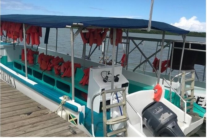 Luminous lagoon Dark night Tour from Ocho Rios and Runaway Bay Hotels - Who will enjoy this night tour
