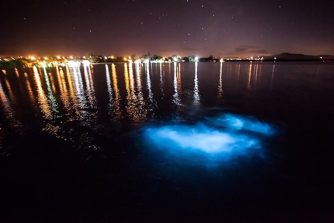 Luminous Lagoon Experience - Why the Luminous Lagoon glows after dark