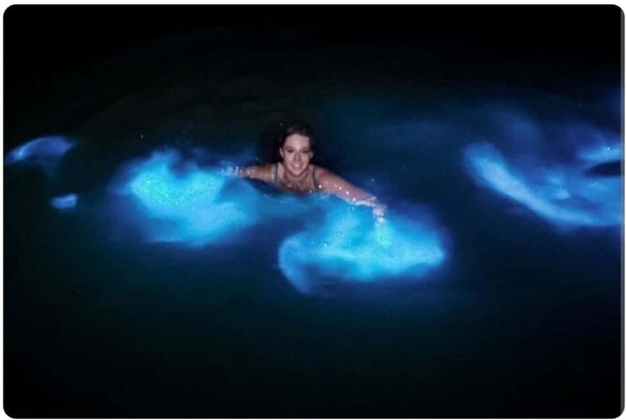 Luminous Lagoon Experience: Ocho Rios Runaway Bay & Falmouth - The details that matter most