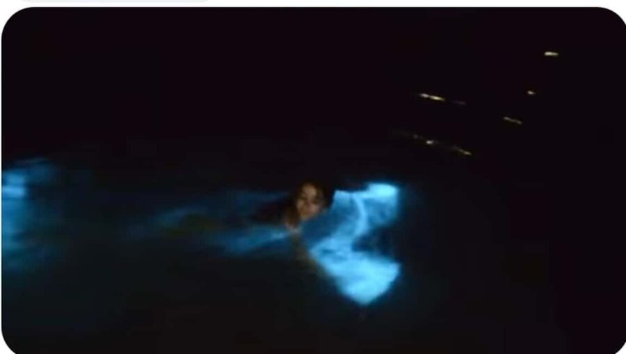 Luminous Lagoon Experience: Ocho Rios Runaway Bay & Falmouth - The Falmouth stop and the 45-minute lagoon visit