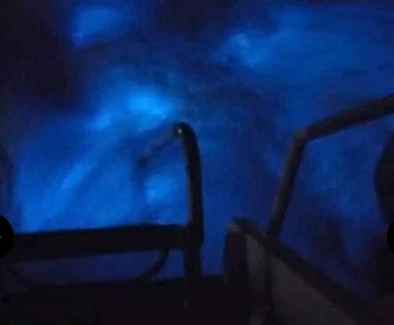 Luminous Lagoon Experience: Ocho Rios Runaway Bay & Falmouth - What to bring for the water