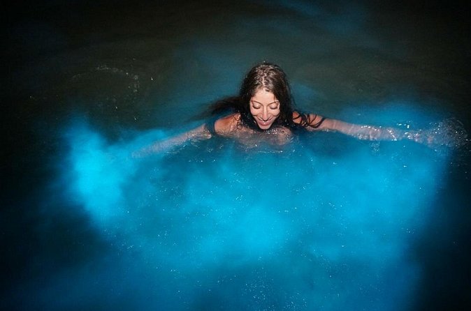 Luminous Lagoon Experience - What happens at the dock before the boat ride