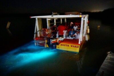 Luminous Lagoon “Glistening Waters” Tour from Grand Palladium Resorts