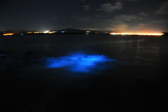 Luminous Lagoon "Glistening Waters" Tour from Grand Palladium Resorts - Swimming among the glowing water