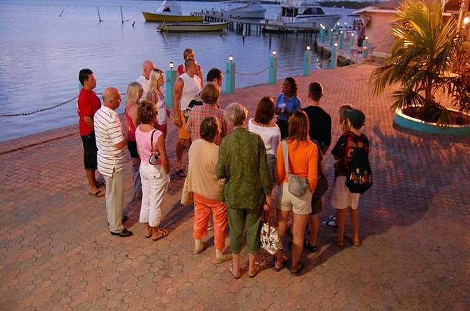 Luminous Lagoon Night Cruise From Montego Bay - Timing, weather, and practical planning