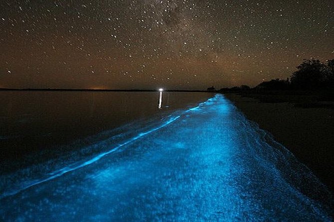 Luminous Lagoon Night-Time Tour from Montego Bay - What Swimming in the Glowing Water Feels Like