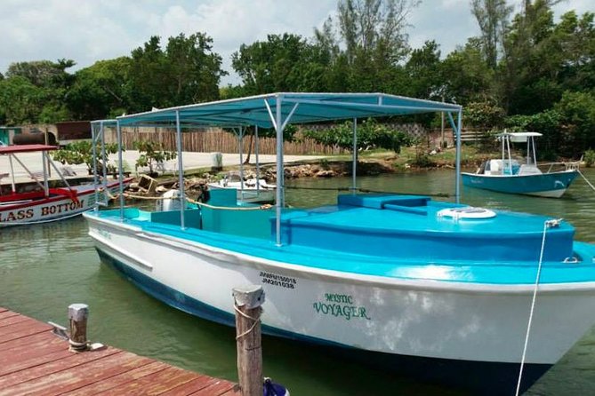 Luminous Lagoon Night-Time Tour from Montego Bay - Is $105 a Fair Price?