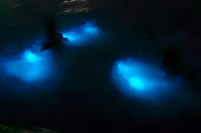 Luminous Lagoon Night Tour and Swim/Fire Dance from Montego Bay - Key points to know before you book