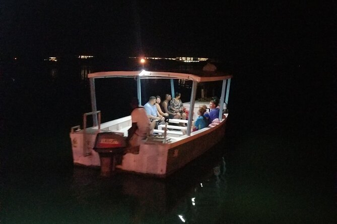 Luminous Lagoon Night Tour from Montego Bay - Why the weather and moonless darkness matter