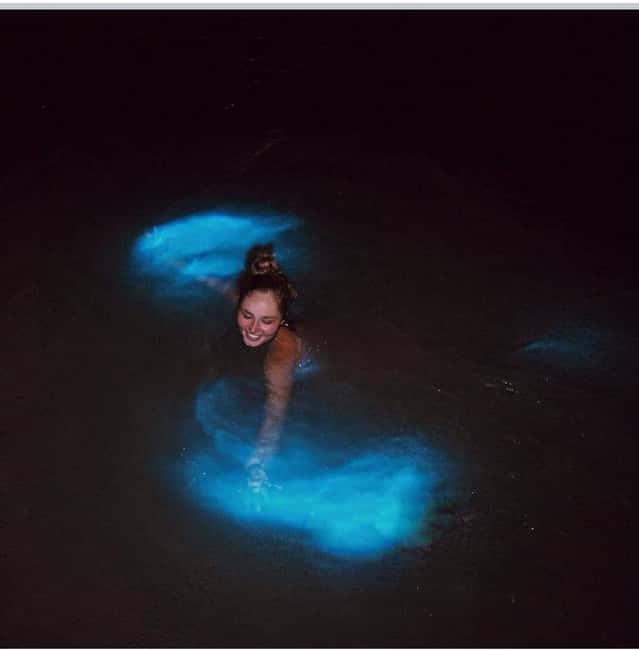 Luminous lagoon : Night Tour from Ocho Rios and Runaway Bay - Choosing the Right Night
