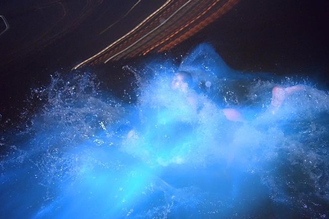 Luminous Lagoon Night Tour from Ocho Rios - The boat ride and the first glow