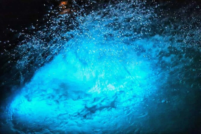Luminous lagoon Night Tour Montego Bay - What to Bring and How to Prepare
