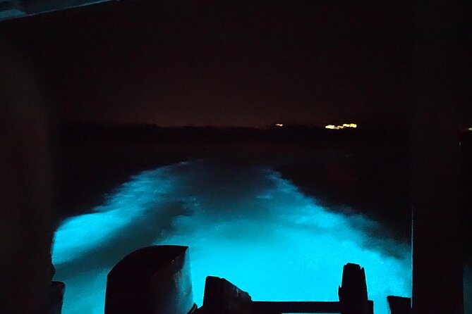 Luminous lagoon Night Tour Montego Bay - The Main Strengths and Limits