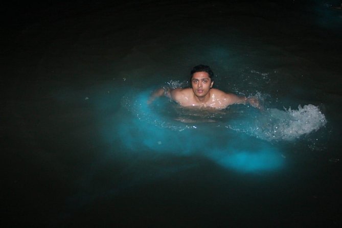 Luminous Lagoon Private Tour - Key things to know before you book