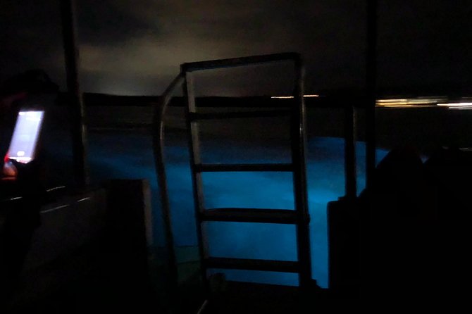 Luminous Lagoon Private Tour - Is $102.57 good value?
