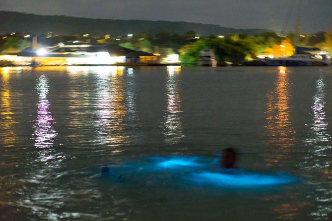Luminous Lagoon Sightseeing Tour in Montego Bay - Key points at a glance