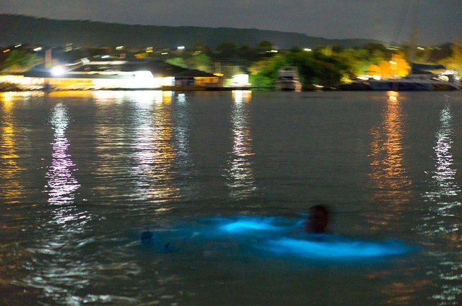 Luminous Lagoon Sightseeing Tour in Montego Bay - What the $40 price really covers