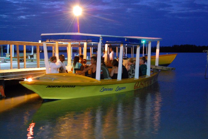 Luminous Lagoon Small Group Tour from Montego Bay - Why the Luminous Lagoon feels different from a normal boat ride