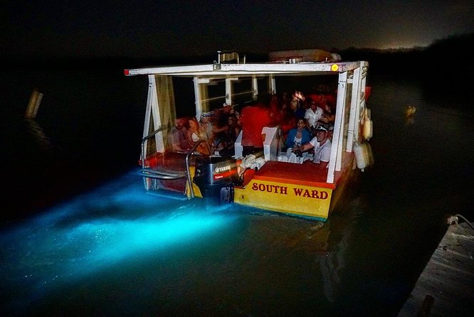 Luminous Lagoon Small Group Tour from Montego Bay - The 45-minute boat ride through Falmouth’s lagoon