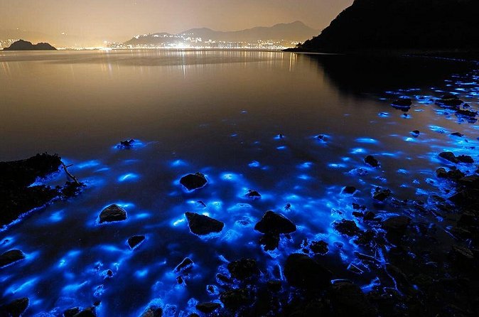 Luminous Lagoon Small Group Tour from Ocho Rios - Should You Swim in the Glowing Water?