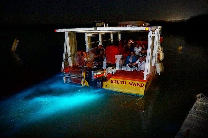 Luminous Lagoon Small Group Tour from Ocho Rios - The Small Group Question