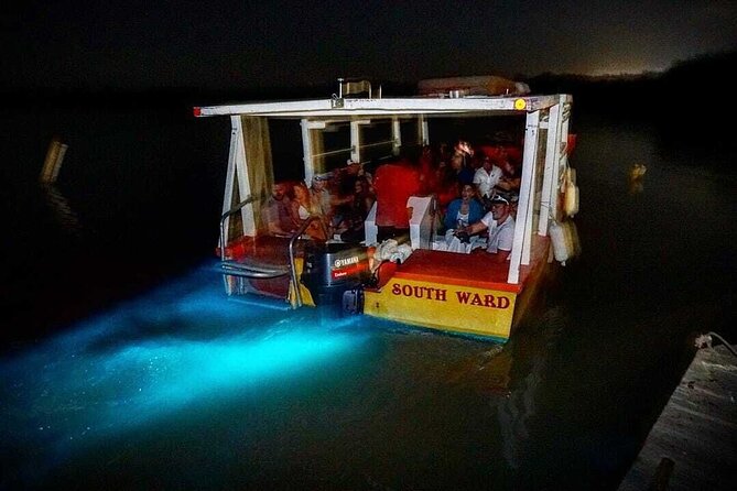 Luminous Lagoon Tour from Montego Bay ( Glistening Waters) - Leaving Montego Bay around 6 p.m.