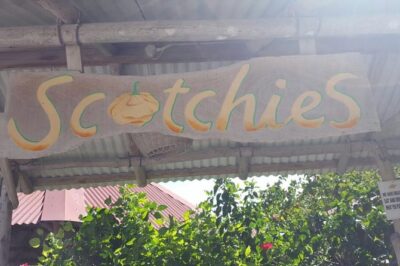 Lunch at Scotchies Jerk Centre From Ocho Rios