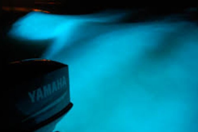 Magical Luminous Lagoon Private Tour - Is $87 per person a good value?