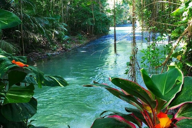 Martha Brae Rafting Adventure - Who will enjoy this river outing most