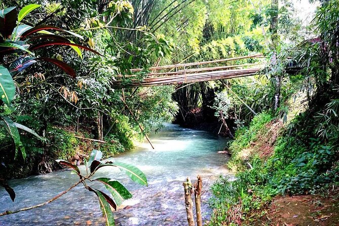 Mayfield Falls, Blue Hole & Rick's Café Tours/Weed Farm option - Mayfield Falls: prepare to get completely wet