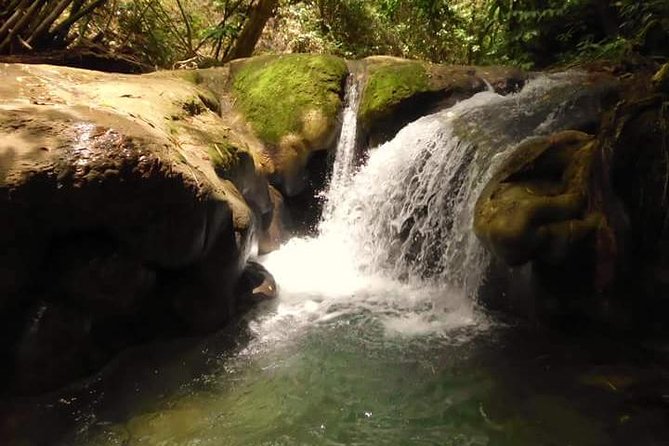 Mayfield Falls nature walk - Key things to know before you book