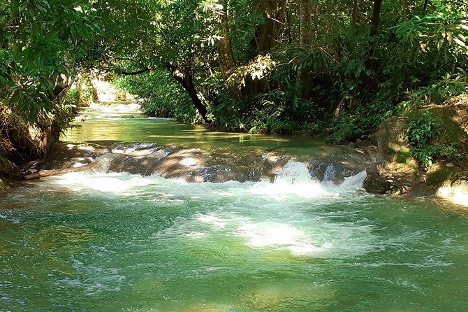 Mayfield Falls nature walk - From hotel pickup to the Westmoreland mountains
